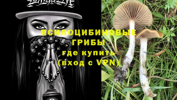 меф Каменногорск